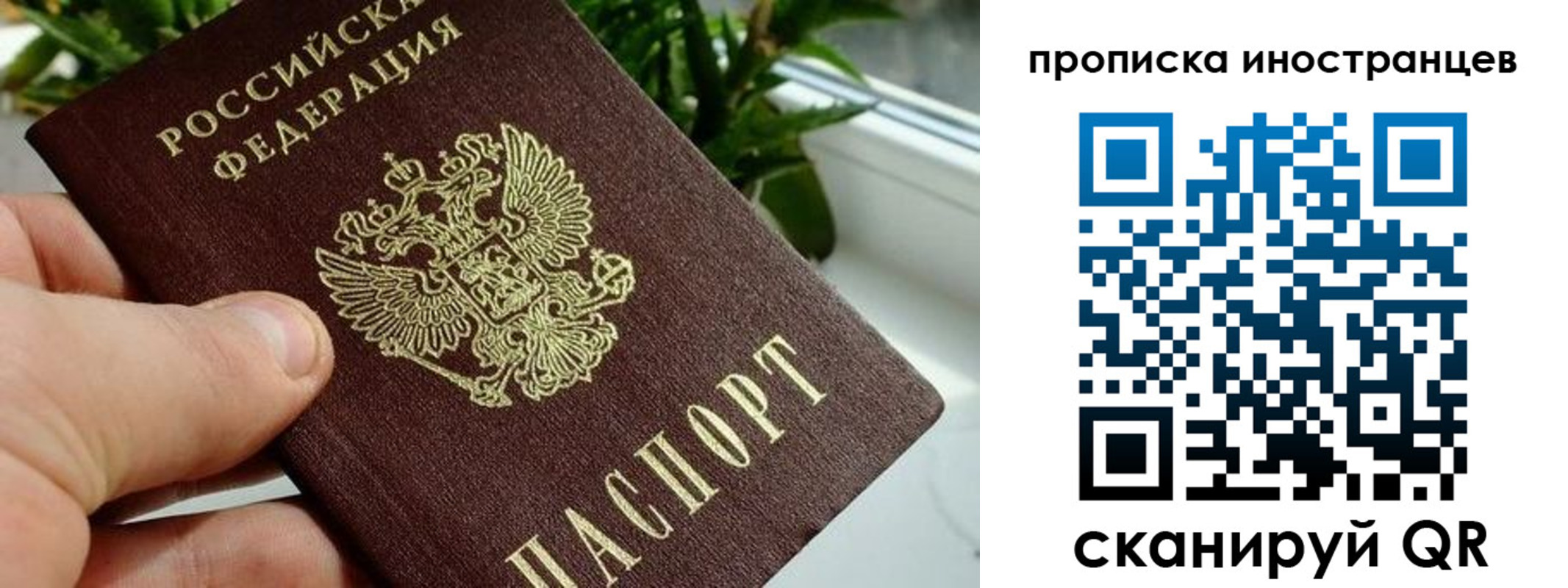 временная регистрация в Курчатове